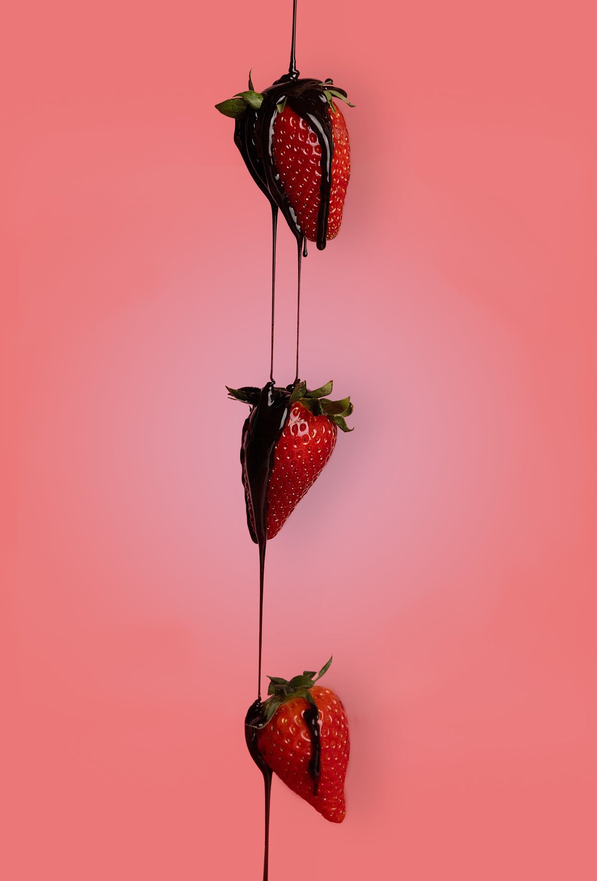 Strawberries dripped in chocolate